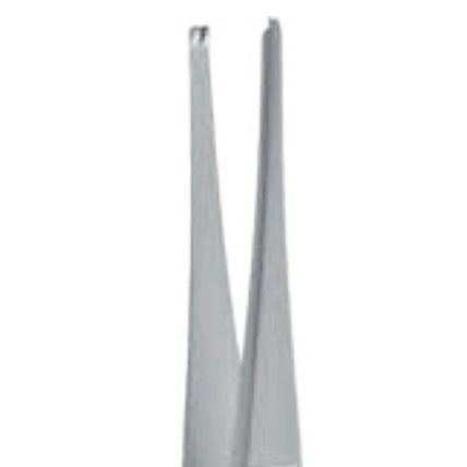 Rat Tooth Thumb Forceps image 0